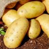 Patates ithalatına gözetim uygulaması getirildi