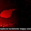 Baharın müjdecisi kardelenler doğayı süsledi Baharın müjdecisi kardelenler doğayı süsledi