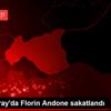 Galatasaray da Florin Andone sakatlandı Galatasaray da Florin Andone sakatlandı