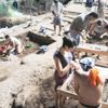 Filipinler'de yeni insan türü keşfi: Homo luzonensis Filipinler'de yeni insan türü keşfi: Homo luzonensis