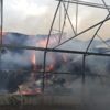Kahramanmaraş'ta sera kül oldu Kahramanmaraş'ta sera kül oldu