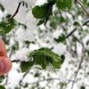 Meteoroloji'den DON uyarısı Meteoroloji'den DON uyarısı