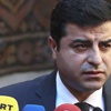 Demirtaş provokasyona doymuyor