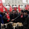 İslahiye'de Mehmetçik için 25 koyun kesildi İslahiye'de Mehmetçik için 25 koyun kesildi