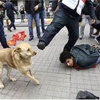 Taksim'de 030'a yoğun ilgi Taksim'de 030'a yoğun ilgi
