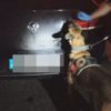 Polisleri şaşkına çeviren baskın Polisleri şaşkına çeviren baskın