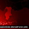 Zeytinin başkentinde alternatif ürün çilek Zeytinin başkentinde alternatif ürün çilek