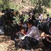 Çanakkale’de 31 mülteci yakalandı Çanakkale’de 31 mülteci yakalandı
