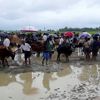 Arakan’da enerji soykırımı!