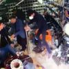 Fare yakalama operasyonu görenleri güldürdü Fare yakalama operasyonu görenleri güldürdü