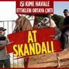 At skandalı büyüyor! DSP'li Nail Murat Pekin açıkladı: İBB’nin işini CHP Adalar İlçe Başkanı Ali Ercan Akpolat yaptı At skandalı büyüyor! DSP'li Nail Murat Pekin açıkladı: İBB’nin işini CHP Adalar İlçe Başkanı Ali Ercan Akpolat yaptı