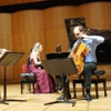 'Ayur Trio' konser verdi