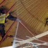 20 metre yükseklikte kurtarılmayı bekledi 20 metre yükseklikte kurtarılmayı bekledi