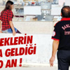 Tbl Federasyon Kupası Sahibini Buluyor Tbl Federasyon Kupası Sahibini Buluyor
