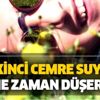 İkinci cemre suya ne zaman düşecek? Cemre nedir? İşte 2020 cemre tarihleri... İkinci cemre suya ne zaman düşecek? Cemre nedir? İşte 2020 cemre tarihleri...
