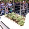 Şehit Halisdemir'in kabrine ziyaretçi akını