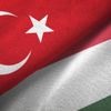 Macar firmaların Türkiye trafiği! Macar firmaların Türkiye trafiği!