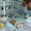 Koronavirüse yerli ve milli kalkan! BORTAM bulaş riskini sıfıra indirecek!