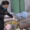 Şans Topu 28 Ocak 711.hafta çekiliş sonuçları ve kazanan numaralar belli oluyor! Şans Topu 28 Ocak 711.hafta çekiliş sonuçları ve kazanan numaralar belli oluyor!