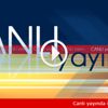 Başbakan Yıldırım Kilis'te konuşuyor