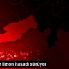 Mersin de limon hasadı sürüyor