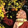 65 yaş üstü çiftçilerin fazlalığı üretimi aksatıyor