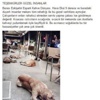 Bu Güzel Görüntü Yine Eskişehir’den