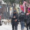 Kırklareli'nde kar yağışı başladı Kırklareli'nde kar yağışı başladı