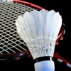 Badminton'da madalya yağmuru