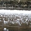 Meteoroloji uyardı: Dolu riskine karşı dikkatli olunmalı!