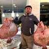 Balıkçıların yüzü kalkan balıklarıyla güldü Balıkçıların yüzü kalkan balıklarıyla güldü