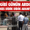 Diyarbakır'da Pkk Operasyonu: 6 Gözaltı Diyarbakır'da Pkk Operasyonu: 6 Gözaltı