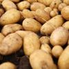 Şimdi de ucuz patates problemi Şimdi de ucuz patates problemi