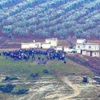 PYD'den alçakça kutlama