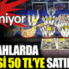 ﻿Nesli tükeniyor. Tezgahlarda tanesi 50 TL’ye satılıyor