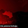 Karadeniz de palamut bolluğu Karadeniz de palamut bolluğu