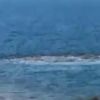 Çanakkale'de ürküten görüntü! Çanakkale'de ürküten görüntü!