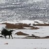 Dünyaya bir haller oluyor... Çöle 40 santimetre kar yağdı Dünyaya bir haller oluyor... Çöle 40 santimetre kar yağdı