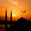 İhtiyacın olduğu anda İhtiyacın olduğu anda