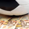 İşte biten ara transferler İşte biten ara transferler