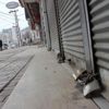101 BİN 614 Esnaf kepenk indirdi 101 BİN 614 Esnaf kepenk indirdi