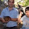 Bu tavuk yeşil yumurtluyor Bu tavuk yeşil yumurtluyor