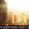 Çin de kene ısırığıyla bulaşan virüsten 7 kişi öldü