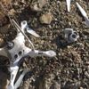 Artvin'de kartal drone parçaladı