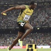 Bolt yine uçtu Bolt yine uçtu