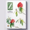 Kültür sanata “Z Dergisi” dopingi