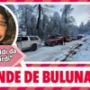 100 kişi, Kartepe'de kaybolan Doktor Uğur Tolun’u, 3. gün de bulamadı