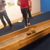 Dünyanın En Hızlı Kaplumbağası Dünyanın En Hızlı Kaplumbağası