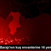 Reyhanlı Barajı nın kuş envanterine 16 yeni tür eklendi