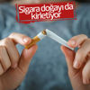 Sigara doğayı da öldürüyor